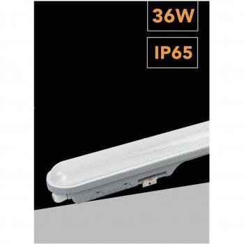 Plafoniera LED Exterior 36W 120cm Impermeable IP65 Luz Fría 6500K