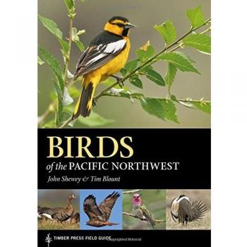 Pacific Northwest Birds: A Comprehensive Guide by John Shewey