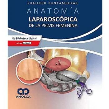 ANATOMIA LAPAROSCOPICA DE LA PELVIS FEMENINA PRINCIPIOS QUE