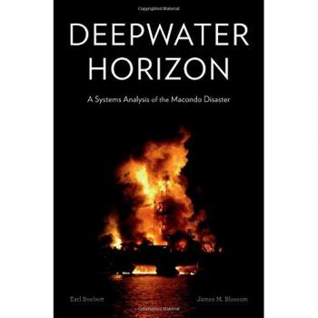 Deepwater Horizon: A Systems Analysis of the Macondo Disaster