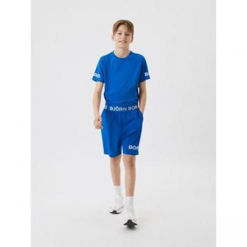 Björn Borg Borg Shorts Blue, Size 122-128