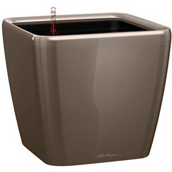 Lechuza Maceta, Quadro Premium