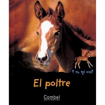El poltre