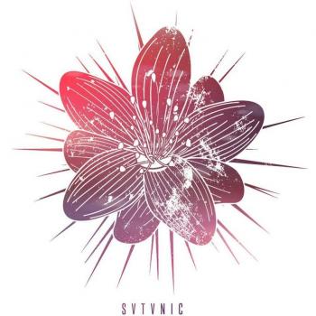 Watch Out Stampede SVTVNIC Vinyl Record