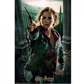 Puzzle 3D Harry Potter Hermione Granger Batalla 300 piezas