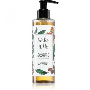 Anwen Wake It Up Coffee Enzymatic Shampoo 200ml - Champú energizante con extracto de café, formulación enzimática, 200 ml
