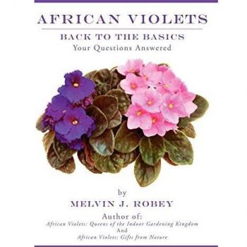 African Violets Care Guide: Essential Tips and Answers