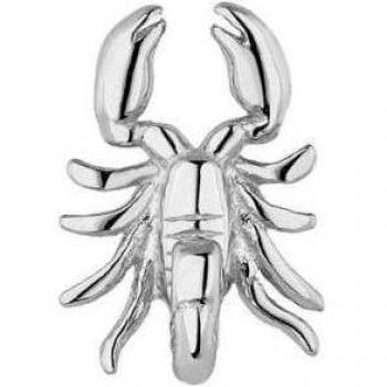 Ear Candy - Piercing de plata bañado en rodio