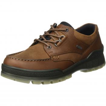 ECCO Men's Track 25 Moc GTX Shoe Size 8 Gore-tex Bison