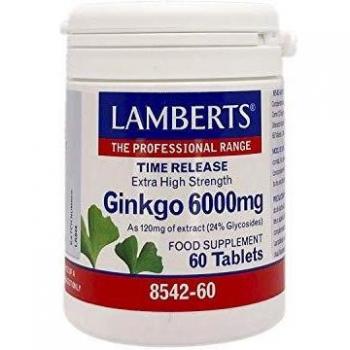 Lamberts Ginkgo Biloba 6000 Mg, One size, 50 g