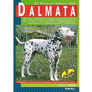 Dalmata