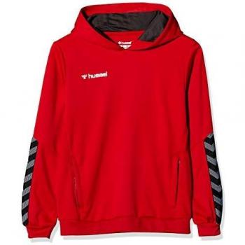Sudadera con capucha para niños Hummel hmlAUTHENTIC Poly