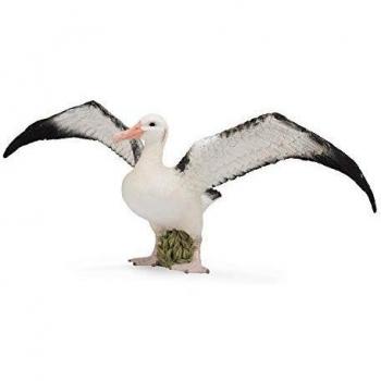 Collecta - Albatros Errante - L - 88765