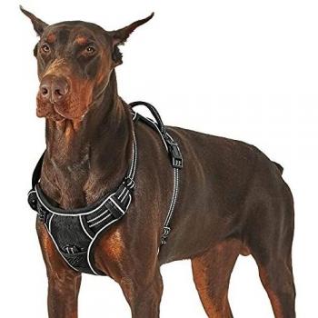 Lesure Arnés Perro Antitirones Grande - Dog Harness Large, Pechera Perro Anti Tirones para Adiestramiento, Chaleco Perro Ajustable y Transpirable con Líneas Reflectantes, Negro, L
