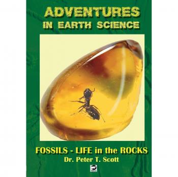 Fósiles: Vida en las Rocas (Aventuras en Ciencias de la Tierra, Nivel 5)