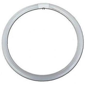 eDM 31141 Tubo Fluorescente Circular Trifosforo, Multicolor, D 30 cm