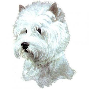 I Love My Taza de desayuno, diseño de perro westie Taza de desayuno, diseño de perro I love my West Highland white terrier perro Taza de porcelana decorada a mano en el Reino Unido entrega gratuita UK