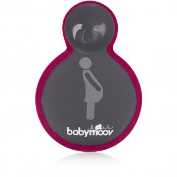 Babymoov A103011 - Indicativo de Bebé a bordo, color gris/verde
