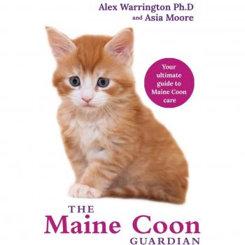 Guía Definitiva de Cuidado para Gatos Maine Coon: Desde la llegada del Gatito hasta el Compañero Senior