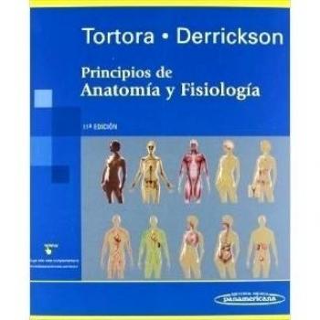 Anatomia y fisiologia