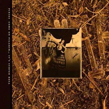 Come on pilgrim its surfer rosa vinyl