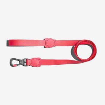 Guía y Correa Zee.dog Neopro para Cachorros Amazonia