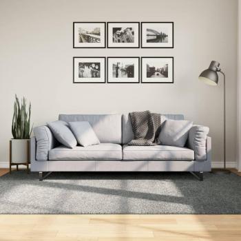 Alfombra Shaggy moderna verde 160x230 cm