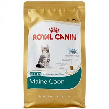 Royal Canin Maine Coon Kitten - 4 kg