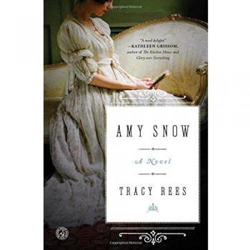 Amy Snow: A Novel (Paperback) - Historical Fiction with Mystery and Romance