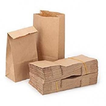 100 Piezas Bolsas de Papel, Bolsa de Pan,Bolsa Comida, Bolsa Kraft Bolsas de Regalo para Chuches Semillas Etiquetas Palomitas Dulces Bocadillos Pequeñas