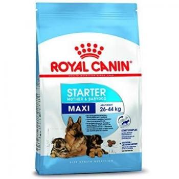 Royal Canin Maxi Starter Mother and Babydog 4 kg