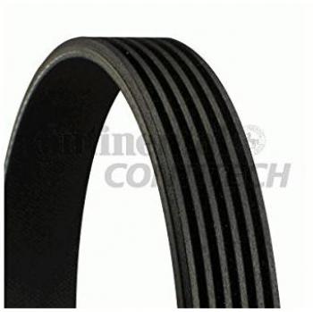 Correa acanalada en V CONTITECH 6PK875, Correa trapecial poli V CONTITECH 6PK875