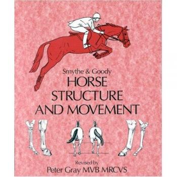 Horse Structure and Movement