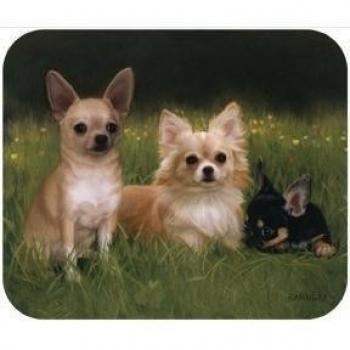 Chihuahua en camino perro Mouse Pad Mousepad por el Violinista de codo
