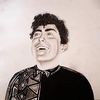 Rise de Hobo Johnson - Vinilo Edición Especial