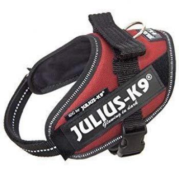 JULIUS-K9 16IDC Power Harness