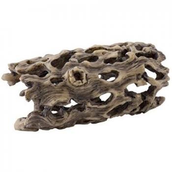 EXO TERRA Esqueleto de Cactus Cholla Pequeño