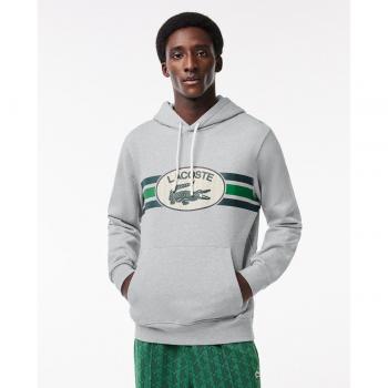 Sudadera loose fit con capucha y monograma estampado Lacoste en gris, azul y verde - XL