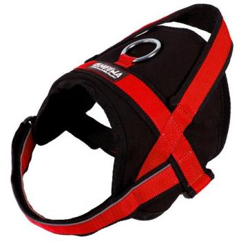 Neewa 8033087539639 - Utility arnés Rojo Small