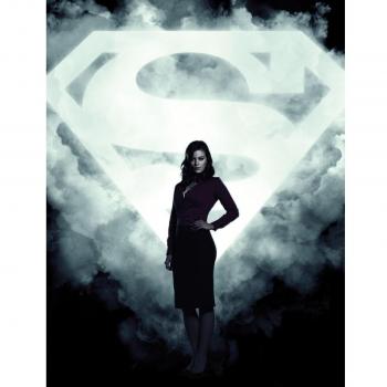 Smallville Season 10 Customized 24x34 inch Silk Print Poster Seda Cartel/WallPaper Great Gift