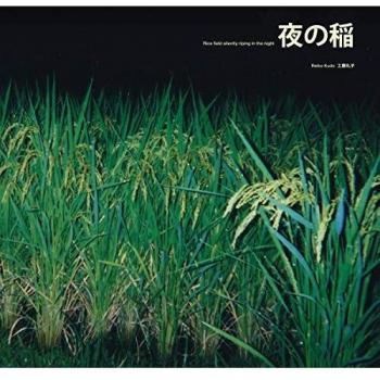 Rice Field Silently Riping In The Night [VINYL]