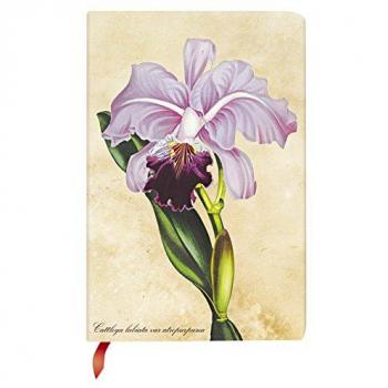 Taccuino Paperblanks Mini - Rayado Blanco - Orquídea Brasileña