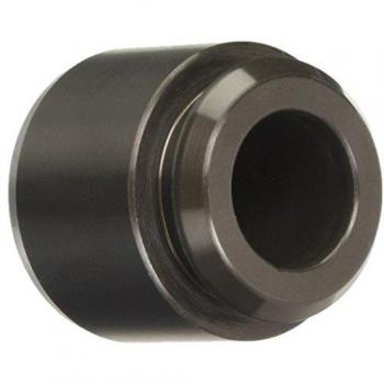 Pistón de pinza de freno AUTOFREN SEINSA D025610, trasero, compatible con ALFA ROMEO y JAGUAR