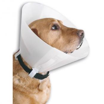 Collar isabelino BUSTER 25 cm para perros y gatos, tamaño adecuado