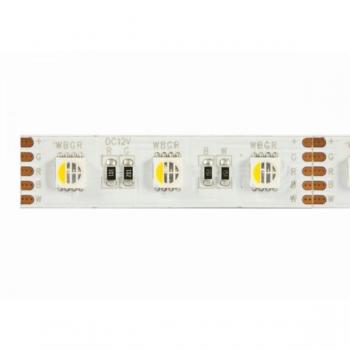 Cinta LED Flex RGBW 500 cm DC24V con chip único WW - Synergy 21