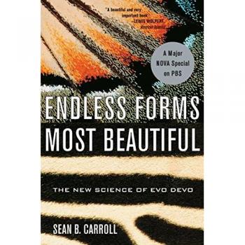 Endless Forms Most Beautiful: The New Science of Evolutionary Developmental Biology (Paperback)