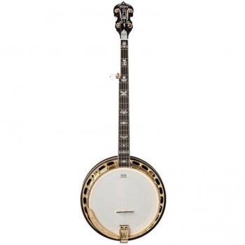 Washburn Americana Series B17K 5 String Banjo, Tobacco Sunburst