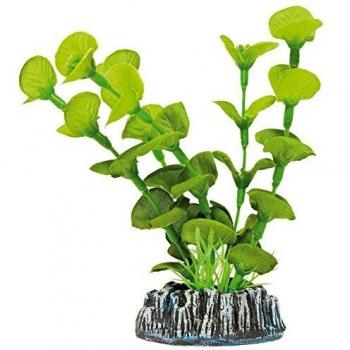 ICA AP1118 NINFA de Aquatic Plants Seda