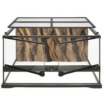 Terrario Exo Terra Bajo Natural 60x45x30cm con Ventilación Frontal