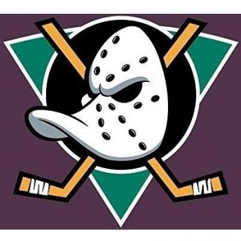 Anaheim Ducks (19x14 inch, 47x35 cm) Silk Poster Seda Cartel PJ17-17CB